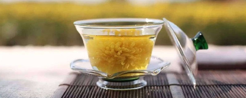 怎么知道自己适合喝什么花茶，女人喝的花茶有哪些