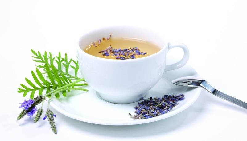 薰衣草花茶的功效与作用及禁忌症