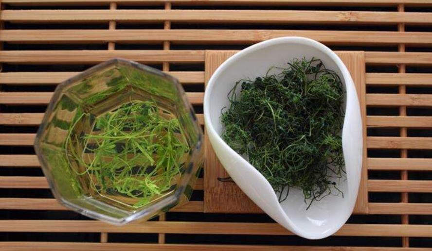 绞股蓝泡水喝的功效和副作用