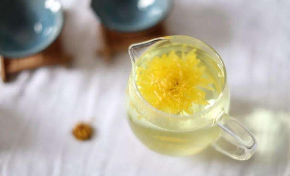 蒲公英和菊花茶的功效与作用及食用方法