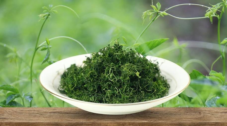 绞股蓝泡水喝的功效和副作用