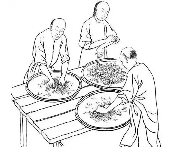 水仙茶怎么制作