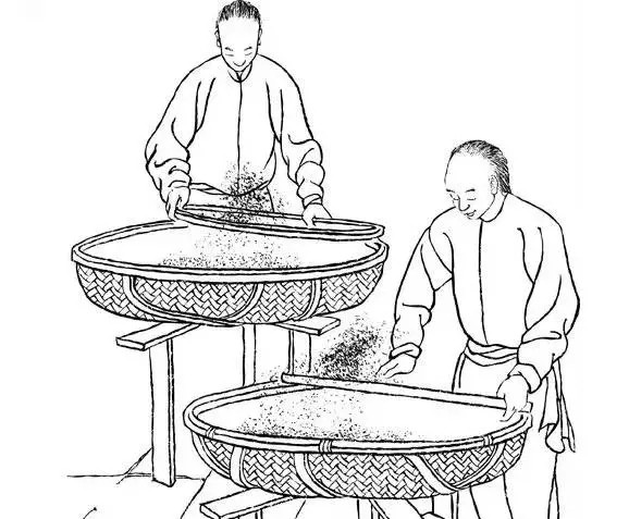 水仙茶怎么制作