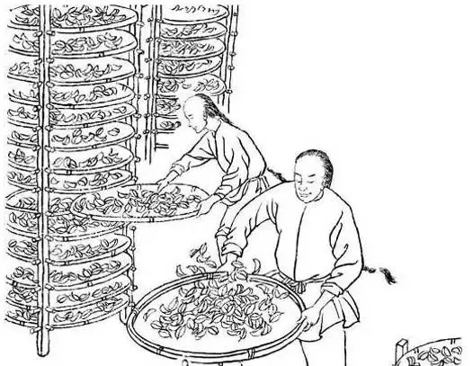 水仙茶怎么制作