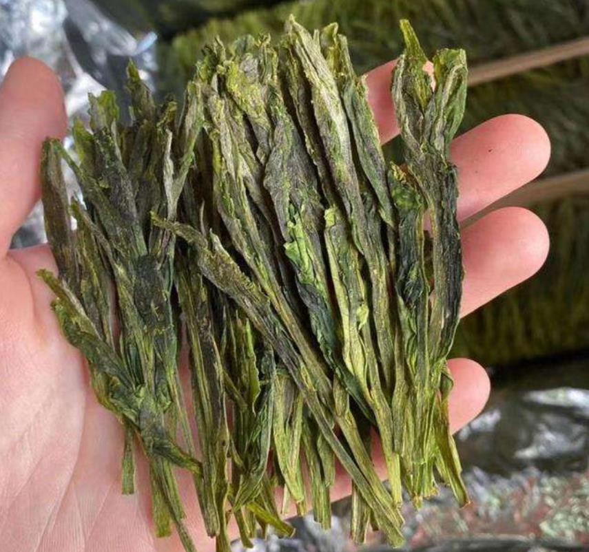 猴魁茶的功效与禁忌