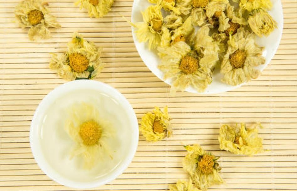 野胎菊的功效与作用