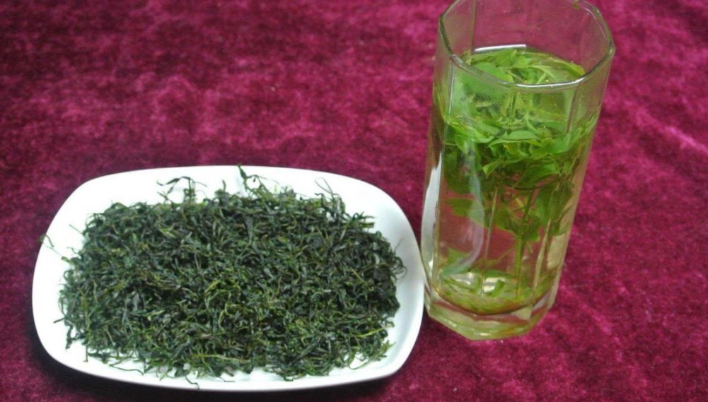 苦丁茶的作用与功效不适用人群