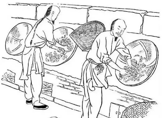 水仙茶怎么制作