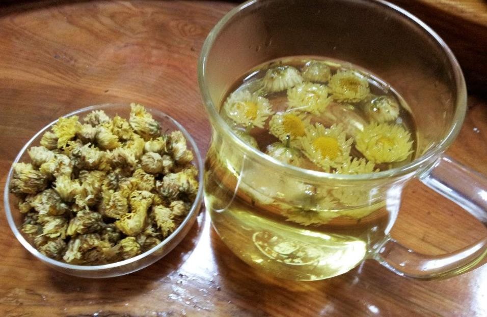 胎菊王的功效与作用及禁忌