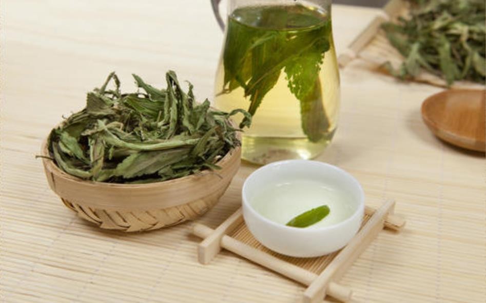 甜菊叶功效与作用与禁忌