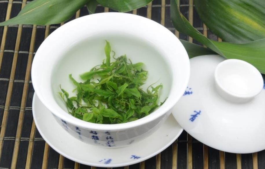 苦丁茶有什么作用和功效小叶