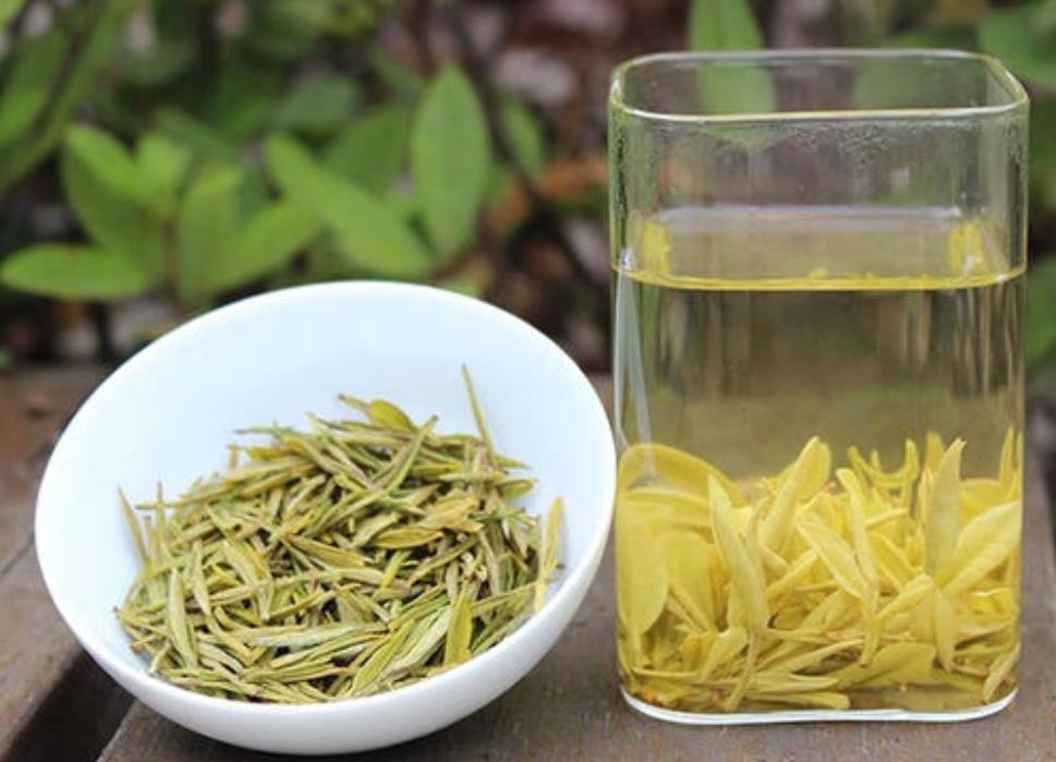 黄金芽的作用与功效是什么