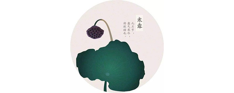 寒露茶的功效与作用，寒露茶的口感
