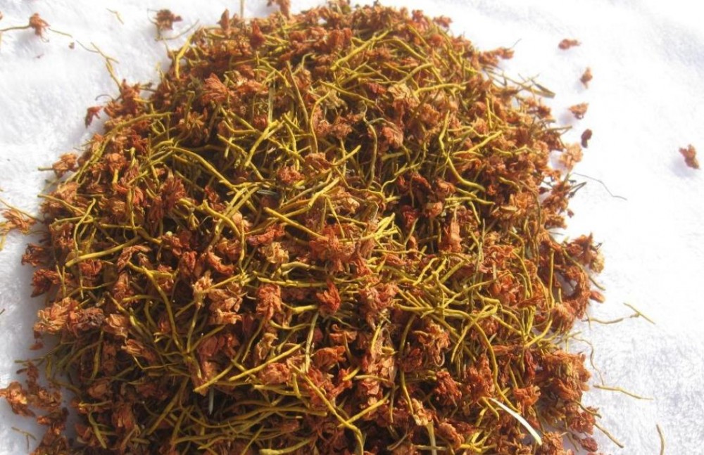 雪山黄龙茶的功效与作用
