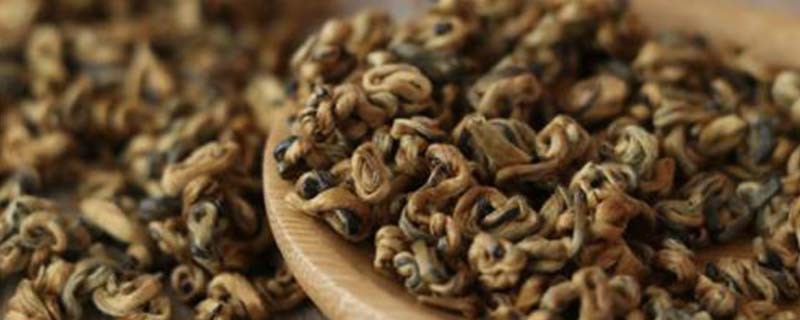 金螺滇红茶的冲泡方法，滇红茶怎么泡才正确
