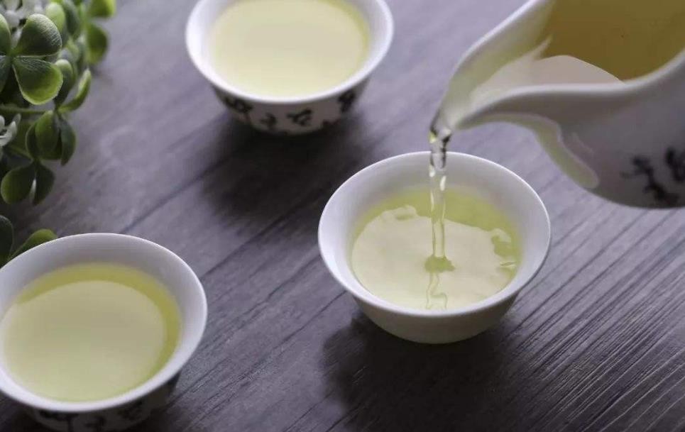 喝苦丁茶有什么好处
