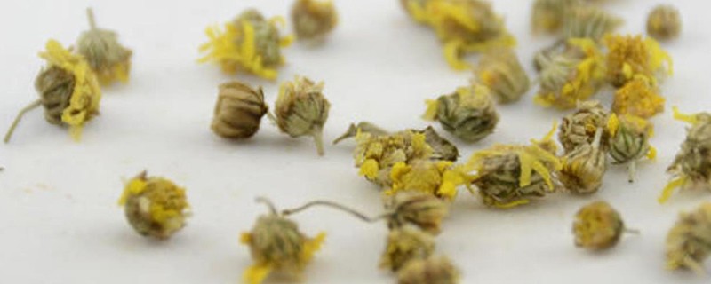 小野菊花的功效与作用，野菊花功能主治