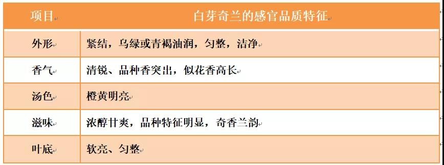 白芽奇兰茶的功效与作用