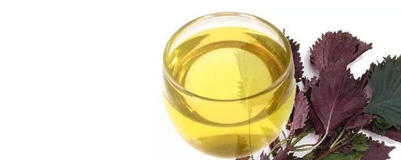 紫苏茶的功效与作用及食用方法，紫苏泡水喝有什么功效