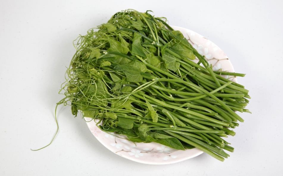 龙须菜的功效和禁忌