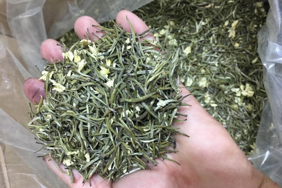 茉莉花茶提神吗