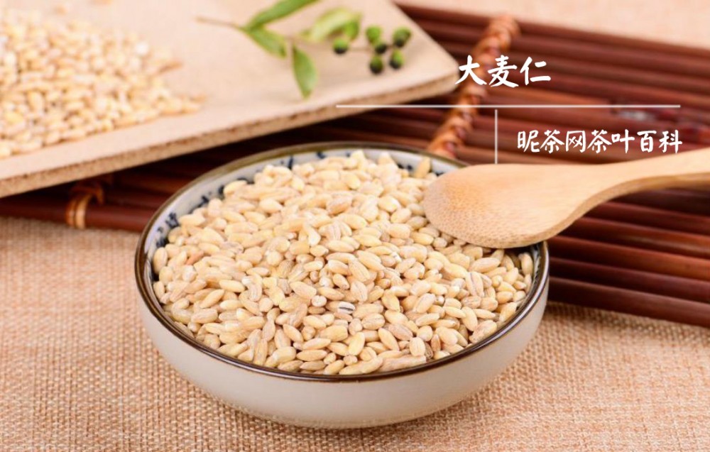 大麦仁的功效与作用