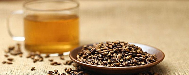 大麦茶对脾虚效果好吗