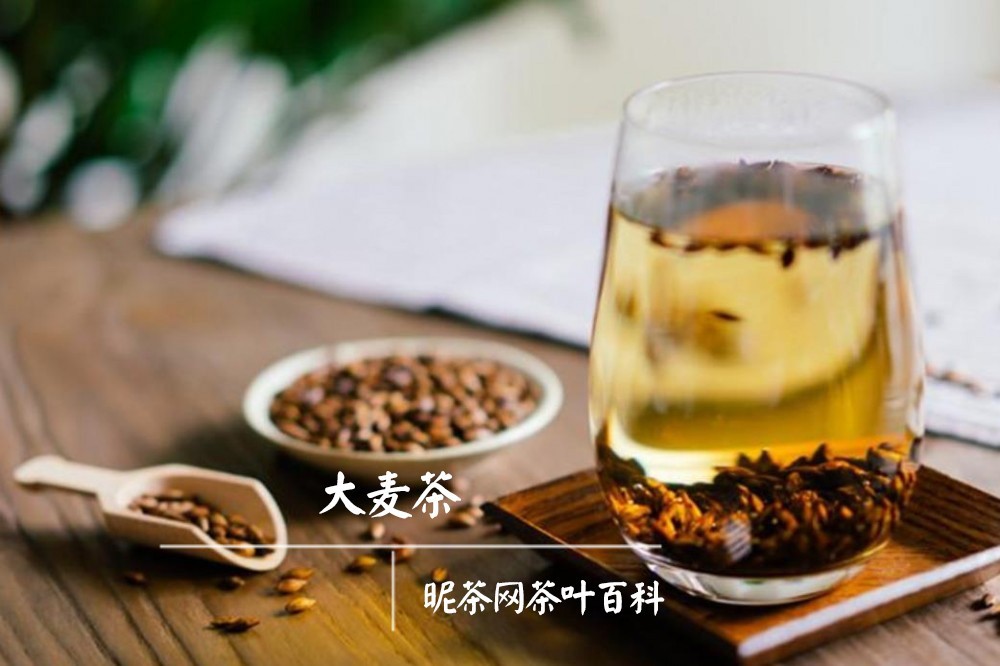 大麦茶对脾虚效果好吗
