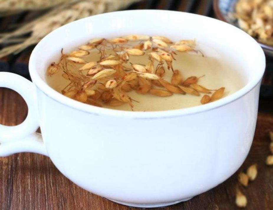 炒麦芽泡水喝的功效