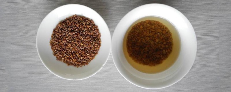 荞麦茶有什么功效与作用，荞麦泡水喝有什么好处和功效
