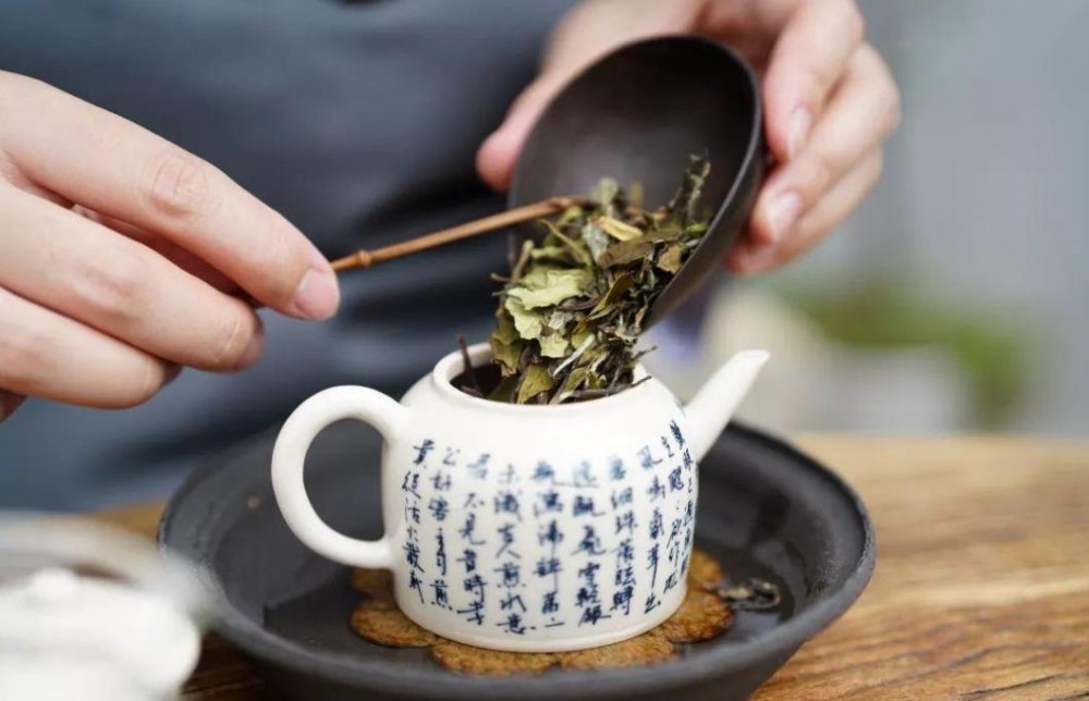 白茶功能功效与作用