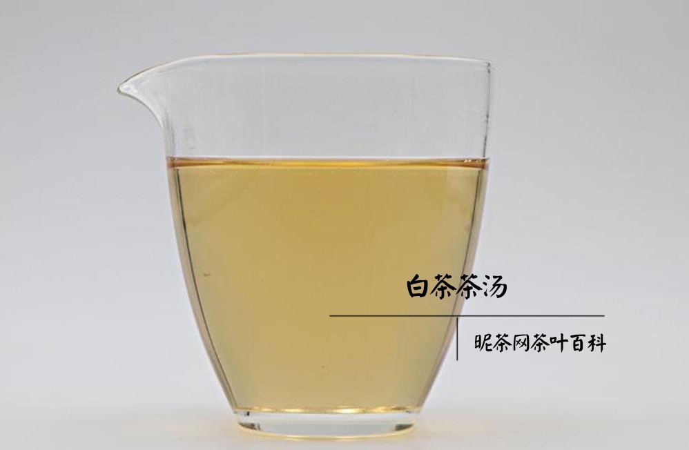 白茶功能功效与作用