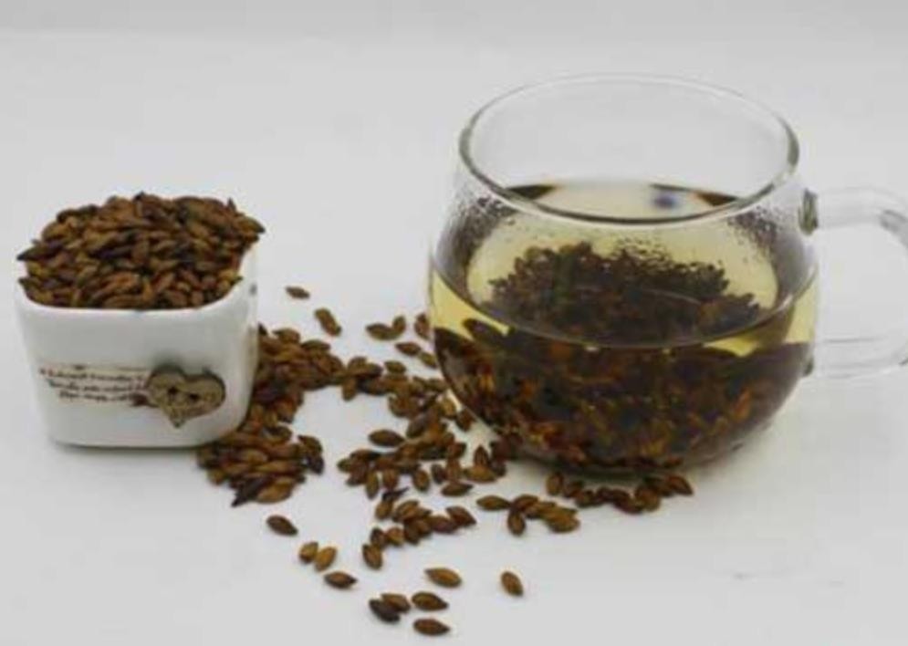 大麦茶为何一泡就黑了