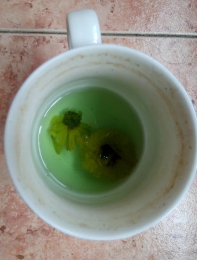 菊花泡久了发绿有害么