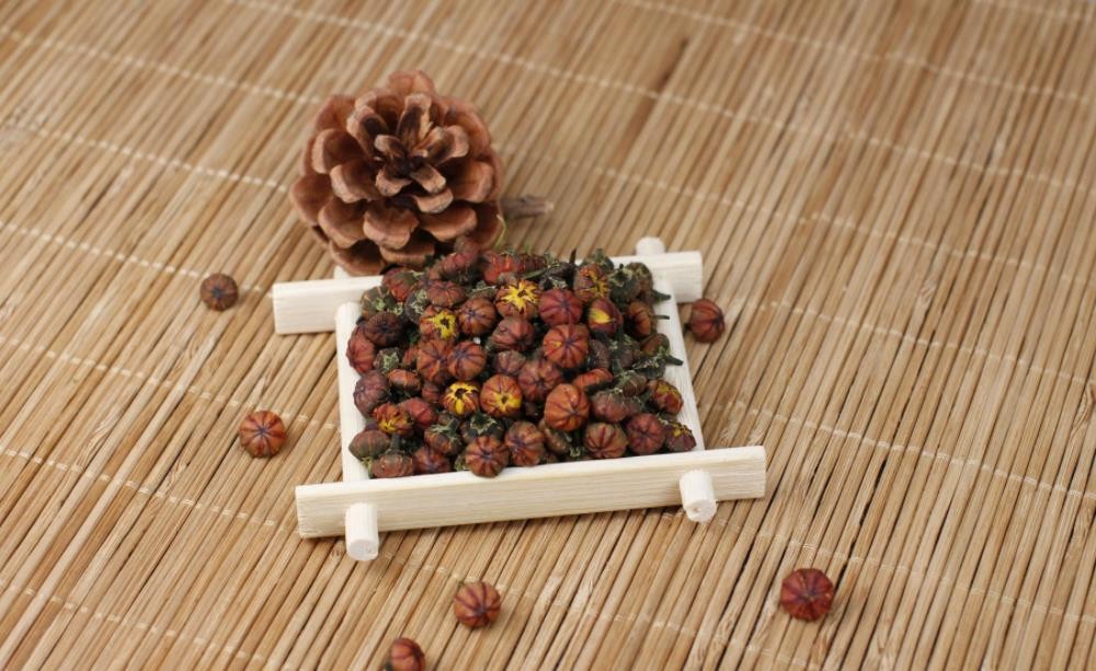 昆仑胎菊泡水喝有什么功效