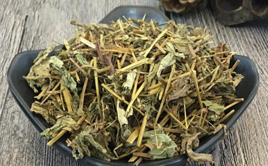 繁缕茶什么人不能喝