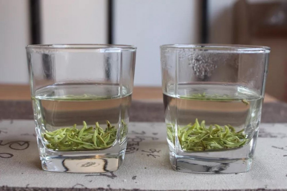 碧螺春和绿茶的区别