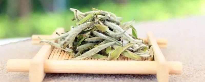 茶毫对人体的作用，茶墨有什么功效和作用