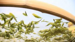 莫干黄芽品质特征，莫干黄芽冲泡方法