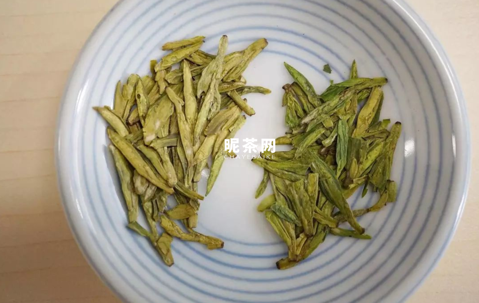 龙井是绿茶吗