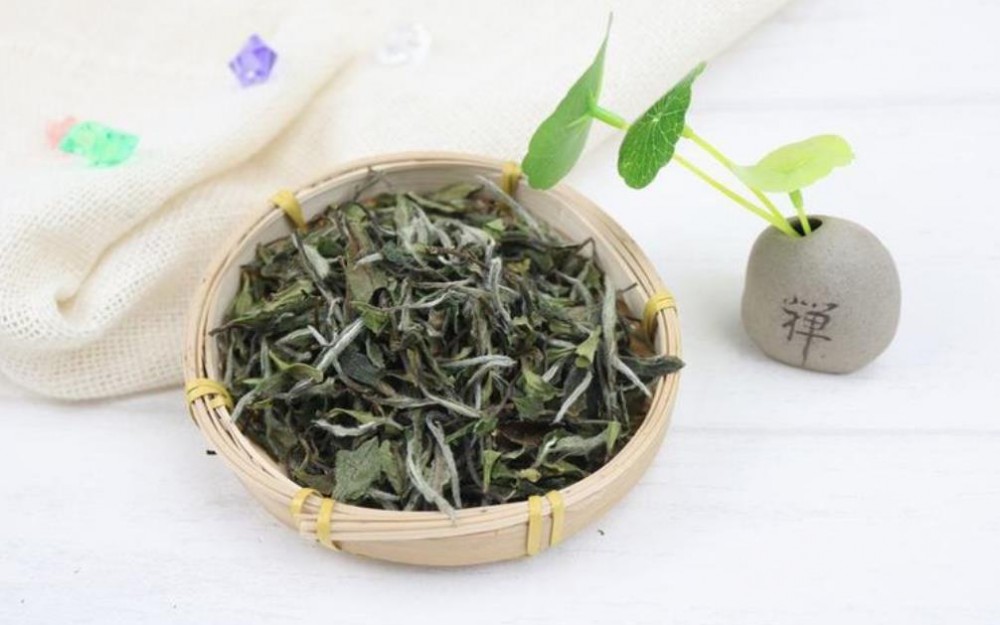 （白牡丹散茶~新白茶）