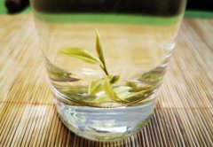 保护嗓子喝什么茶
