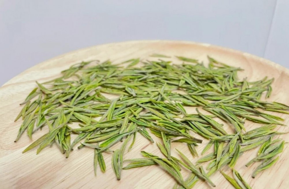 绿茶都包括什么茶 绿茶有哪些品种