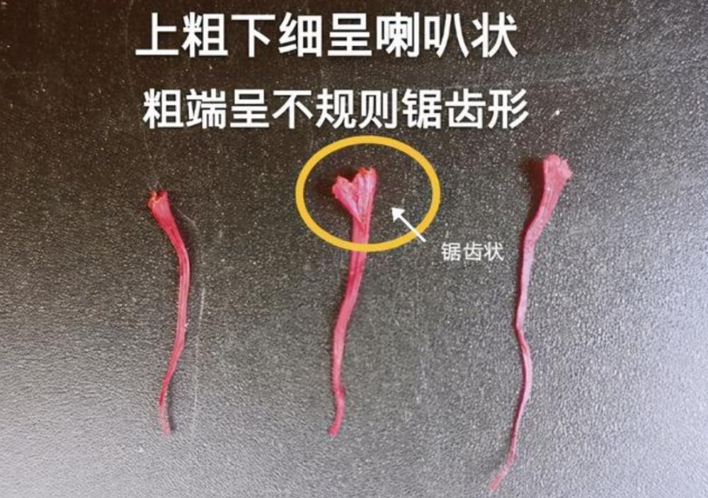 藏红花怎样辨别真假