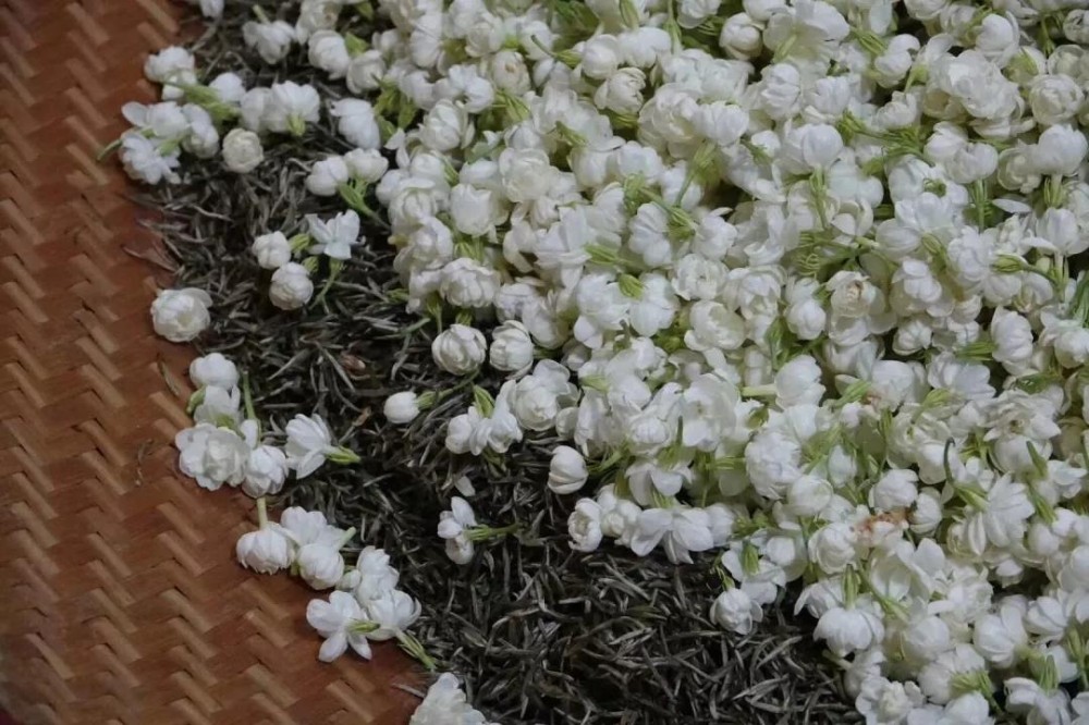 解密国家级非遗技艺，茉莉花茶的