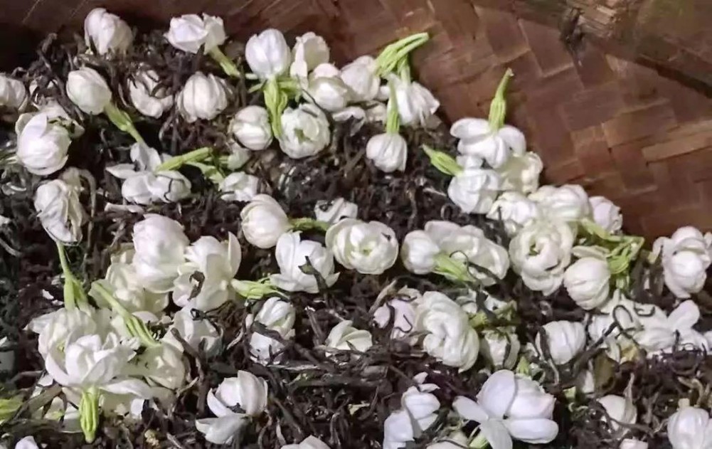 解密国家级非遗技艺，茉莉花茶的