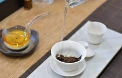 凤凰单枞属于什么茶，凤凰单枞的冲泡方法