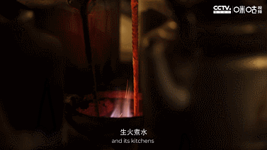 一片树叶里的大故事，BBC镜头下的中国茶