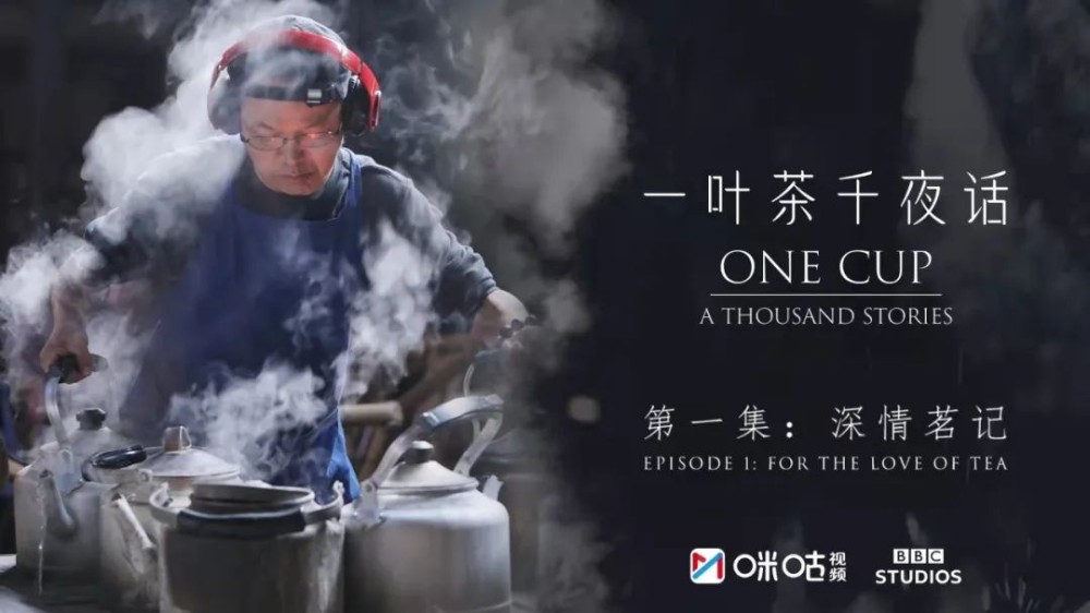 一片树叶里的大故事，BBC镜头下的中国茶