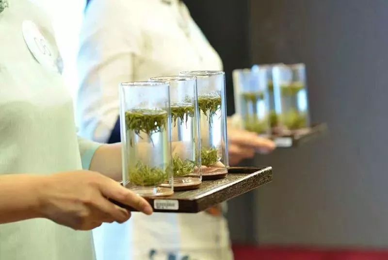 绿茶基本品质特征